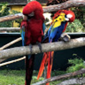 Meet your Posher, Ana